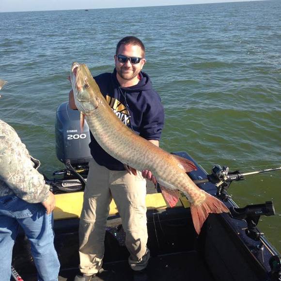 Meet your Posher, Brian - Picture 1 of 1